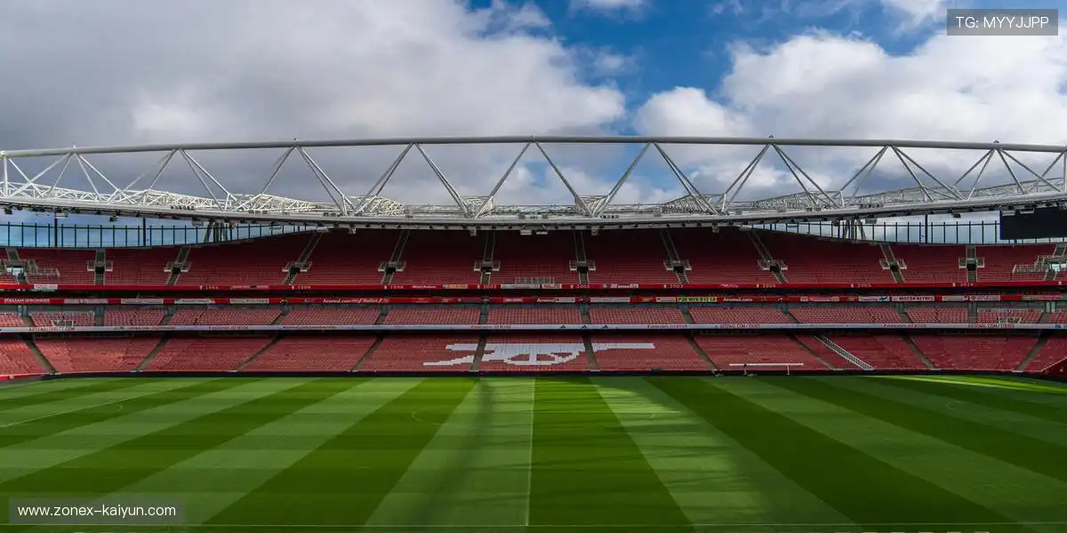 龙腾虎跃，燃情岁月！⚡